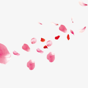 花瓣素材免抠