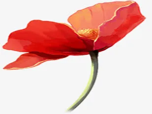春天红色手绘花朵免抠