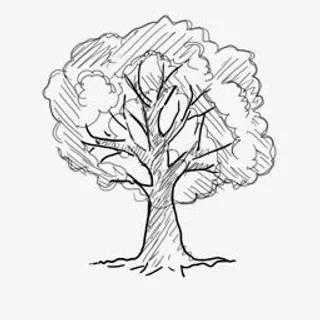 大树铅笔手绘免抠