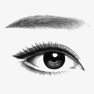 纹眉纹绣名片免抠