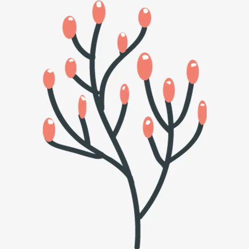 手绘植物免抠