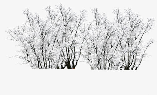 高清创意合成冬天白色的雪花树木免抠