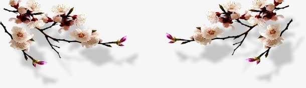 水墨梅花免抠