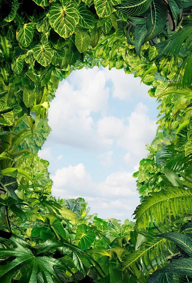 绿色摄影H5背景高清