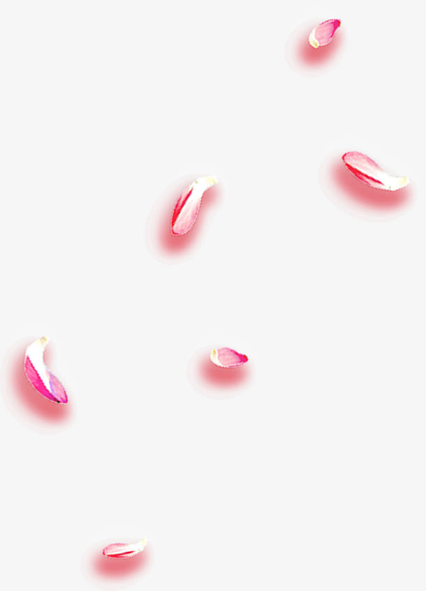 漂浮梅花花瓣免抠