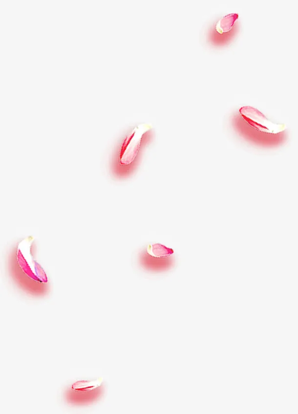 漂浮梅花花瓣免抠