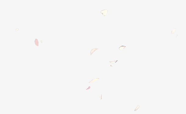 彩绘黄白色花瓣飘落免抠