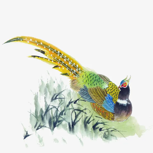 锦鸡免抠