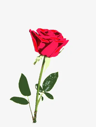 玫瑰花情人节礼物植物手绘装饰免抠