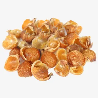 无患子果肉免抠