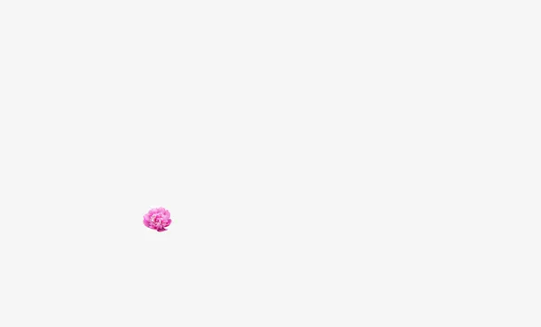 梅花免抠