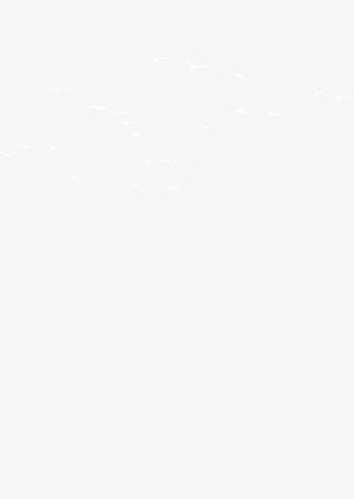 国潮 古风 动物 白鹭免抠