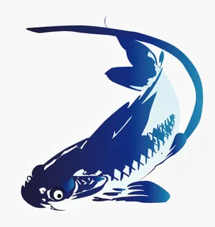 矢量鲤鱼图案免抠