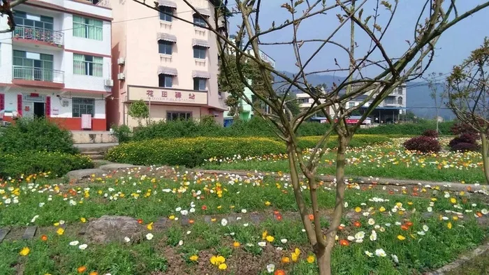 人间四月芳菲尽高清