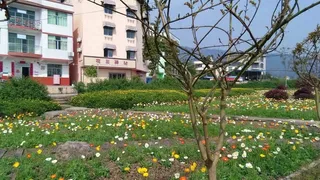 人间四月芳菲尽高清