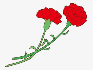 红色美丽母亲节康乃馨免抠