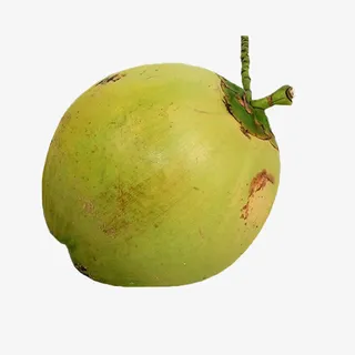 新鲜椰子油免抠 新鲜椰子油免抠