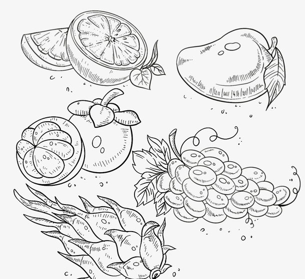 手绘热带水果线描芒果火龙果免抠