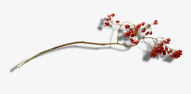 树枝红色小果子免抠