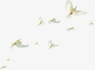 国庆节海报白色和平鸽免抠