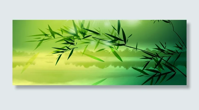 竹子背景高清