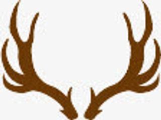 鹿茸鹿头不规则形状免抠