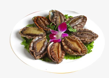 鲍鱼海鲜新鲜免抠