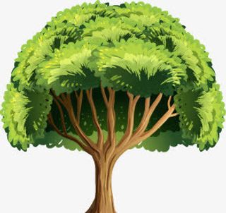 春天的树叶免抠