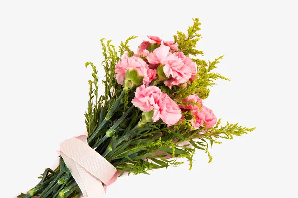 一束粉红康乃馨花卉花束免抠