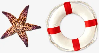 海星泳圈元素免抠