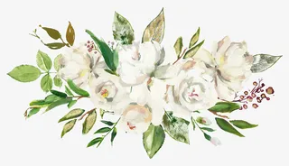 手绘植物花卉白色花朵免抠