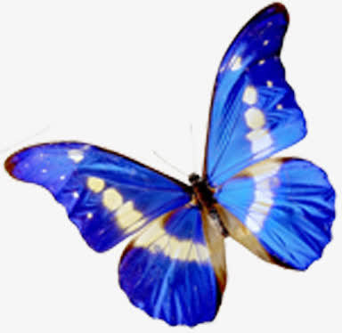 蓝色梦幻蝴蝶手绘春天免抠装饰动物元素