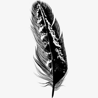 羽毛纹理矢量插画免抠