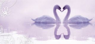 唯美浪漫天鹅湖电视背景墙装饰画高清