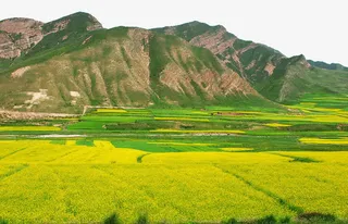 著名日月山免抠