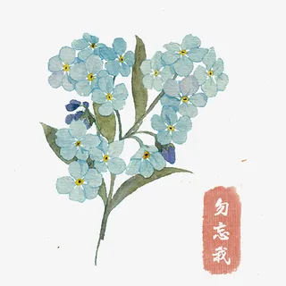 勿忘我手绘免抠