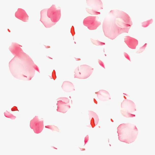 桃 花 瓣免抠