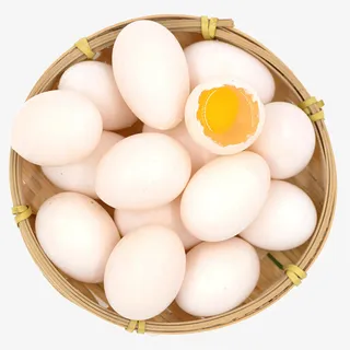 鸽子蛋800x800免抠