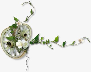 白色小花边框素材免抠