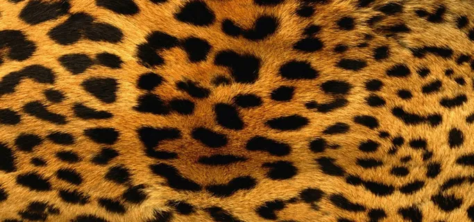 淘宝背景图高清