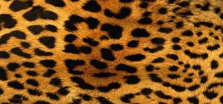 淘宝背景图高清