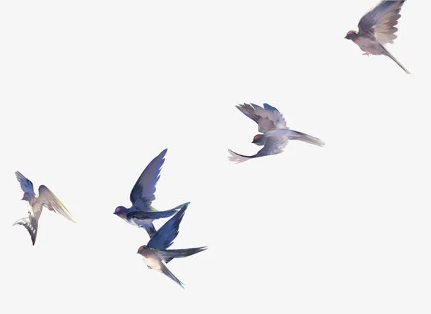 飞鸟免抠装饰动物元素