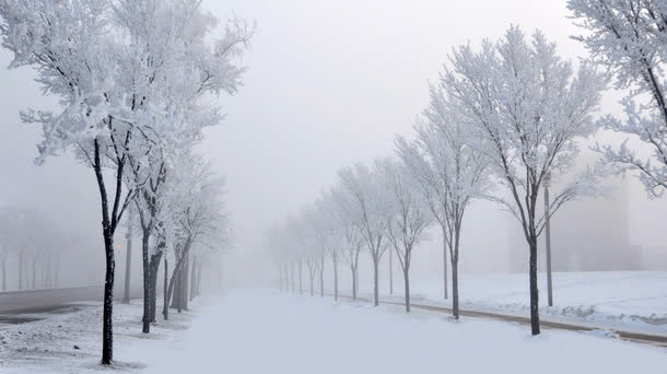 白色的创意合成雪花效果场景免抠