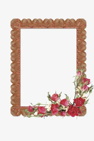 花框 花边免抠