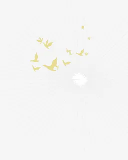 和平鸽剪影免抠