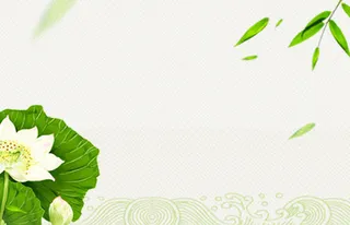 中国风荷花免抠