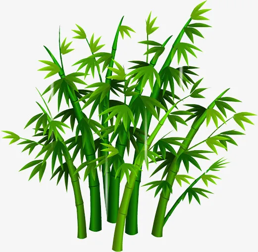 竹子免抠
