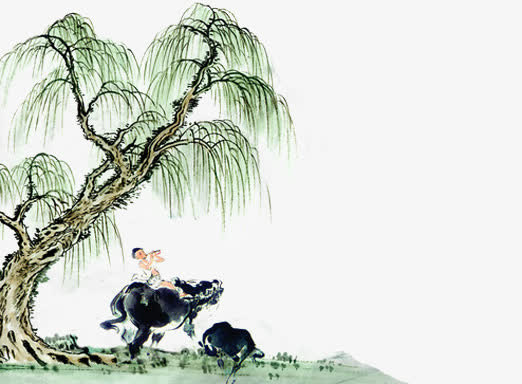 中国风柳树免抠