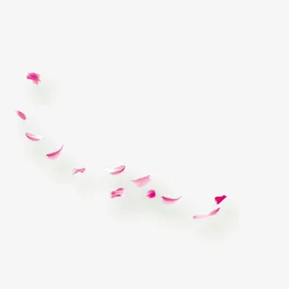 花瓣免抠