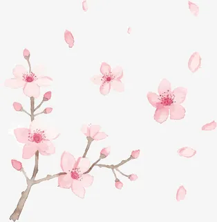 飞舞的花瓣PNG下载免抠